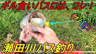 【瀬田川バス釣り】小ギル食いにはコレ！【イマカツ】