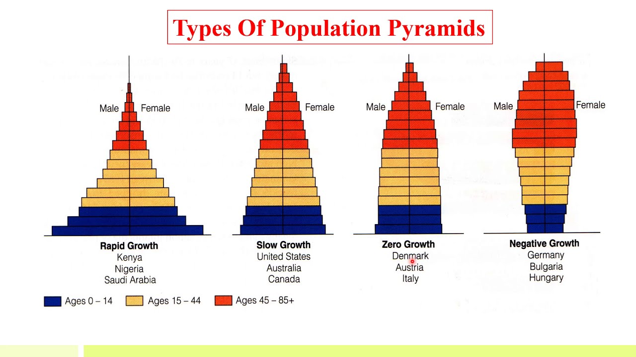 Age Pyramid Types