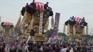 土居秋祭り2023　ふるさと広場（関川河川敷）かきくらべ