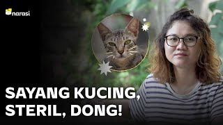 Steril, dong! Kucing Jadi Hama Kota kalau Over-populasi | Narasi Newsroom