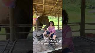 Elephant Sanctuary @ Chiang Mai Thailand