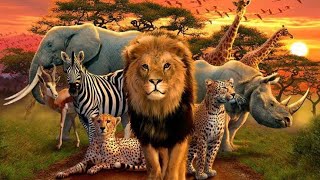 wild animal  name animals and sounds animals fani animals domestic animals elephant lion tiger no,8,