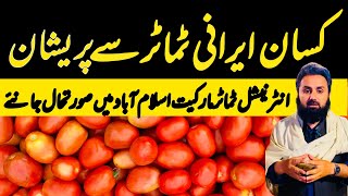 International Tomato Market Islamabad Update | 5 January 2025 | Irani and Pakistani Tomatoes Auction