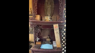 Funeral Services for Our Dear Bird Friends (23rd May. 2026)