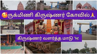 🛕கோவிந்தபுரத்தில் இருக்கும் கிருஷ்ணன் ருக்மிணி கோவில் நீங்கள் பார்த்து இருக்கிங்களா!🥰🙏