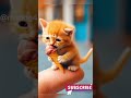 ih kucing lucu lagi makan funny animals cat cute catlover cutecat