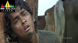 Nuvvostanante Nenoddantana Movie Siddharth Comedy | Siddharth, Trisha | Sri Balaji Video
