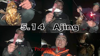 5 14 Ajing  プロトタイプロッドテスト