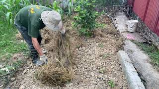 Welcoming new ducks and starting our little seed nursery – Life on the Farm!