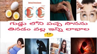 గుడ్డు లోని పచ్చ సొన తినడం వల్ల ఇన్ని లాభాల🤔🙏.#benifits of eating egg 🥚 daily.please subscribe 👏