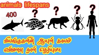 animals lifespans  விலங்குகளின் ஆயுள் காலங்கள்