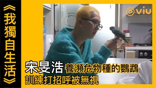 《我獨自生活》韓綜線上看│第431集 - 宋旻浩養瀕危物種的鸚鵡 訓練打招呼被無視 │Viu