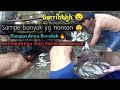 Panen ikan asli sungai 😲 Bareng Teman