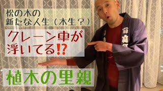 松の植栽「植木の里親」クレーン車が浮いてる⁉️