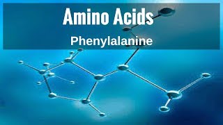 Amino Acids - Phenylalanine