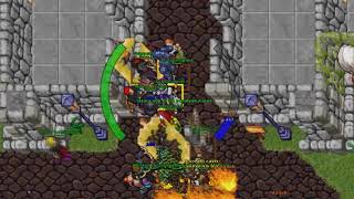 Tibia Honbra   Wdoois vs Disconnected