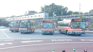 【小湊バス】そうだ大網駅へ行こう