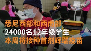 悉尼2万多名12年级学生开始接种辉瑞疫苗 |SBS中文