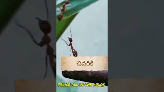 చివరికి ఒంటరిగా#trending #prince44 #motivation #viralvideo #youtubeshorts