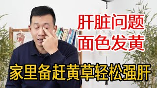 肝出了问题看脸就知道，眼角发黄面露苦色，家里备点“赶黄草”就能轻松强肝【人体百科David伟】