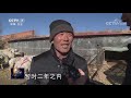 《聚焦三农》羊肉涨价之后 20190118 cctv农业