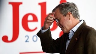 Oh, Jeb: Jeb Bush's Son Endorses Trump