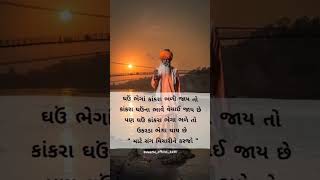 #જય# હો માં# જય શ્રી કૃષ્ણ #🙏# રાધે #રાધે