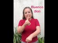 Aprende como saludar en LSM (Lengua de señas mexicana) 👋