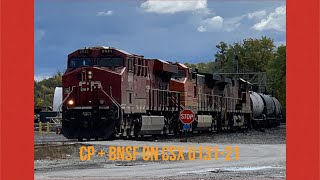 INSANE LASHUP of CP \u0026 BNSF on CSX U131-21 @ Brunswick