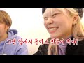 입짧은 유튜버들의 4끼 먹방😎 vlog 홍대 경주식당 중화복춘 바나나하루키 케이크 사주 eng jp sub