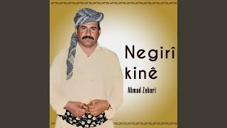 Negirî kinê