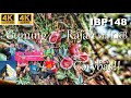 Ep134 Hike to the mighty Gunung Rajah via Pertak KKB ⭐ Selangor Malaysia