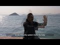 how qigong heals internal balance clear blockages qigong for health and healing 3