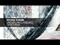 Sylvia Tosun - Underlying Feeling (Veniice Remix)