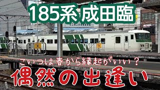 【成田臨と遭遇！】突然やって来た185系《鉄ちゃんぽmini》