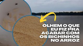 Como acabar com bichinhos no arroz? Caruncho.