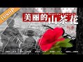 《美丽的山茶花》/ Beautiful Camellia 支教 一场对人生观价值观的洗礼 （刘继勋 / 郝新）| new movie 2020 | 最新电影2020