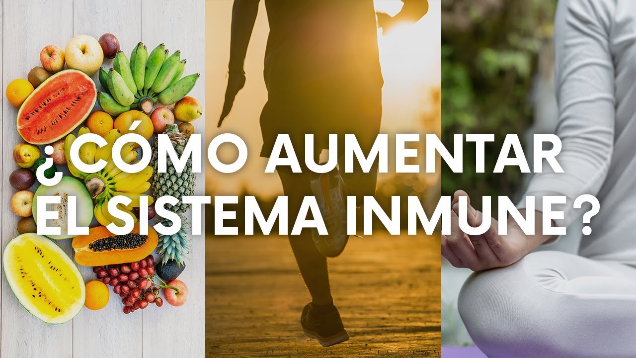 Cómo Aumentar El Sistema Inmune Naturalmente - YouTube