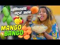 Easy Dessert Prep | Mango Bango | ලේසියෙන්ම හදන්න අතුරුපසක්