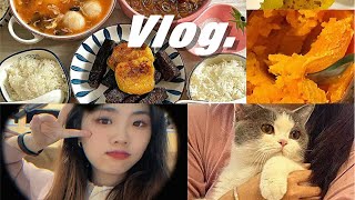 【治愈周末vlog】|吃东北菜吃北京烤鸭贤|惠朋友下厨|床上长猫猫了