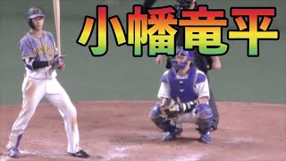 阪神タイガース小幡竜平　打席　打撃フォーム【2020年 プロ野球】