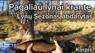 Lynų žvejyba/pirmieji 2023 lynai ežere, bundanti gamta- Tench fishing in lake.