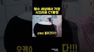 펭수의 세상에서 가장 시끄러운 CT촬영 #shorts