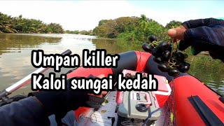 CARA MEMANCING IKAN KALOI / Inflatable Boat Fishing Malaysia