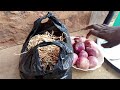 how i use onions to cure chicken diseases and boost my egg production in my poultry farm