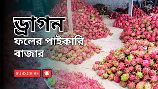 ড্রাগন ফলের পাইকারি বাজার | dragon wholesale market | বর্তমান বাজারে ড্রাগন ফলের দাম