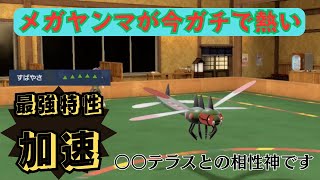 【メガメガヤンマ】最強特性「加速」を持つメガヤンマが今ガチで熱い【ポケモンSV】【碧の仮面】