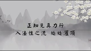 【子归家】聊天室 | No.2495 正知见真力行  入法性之流  处处灌顶 | 行持 | 03 佛教修证系列 | 杨宁