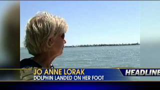 600 Pound Dolphin Jumps on Boat's Deck