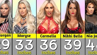 WWE Female Wrestlers Their Breast Size